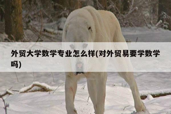 外贸大学数学专业怎么样(对外贸易要学数学吗)