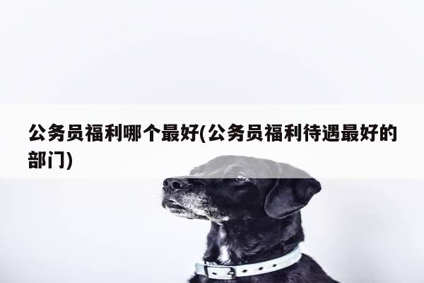 公务员福利哪个最好(公务员福利待遇最好的部门)