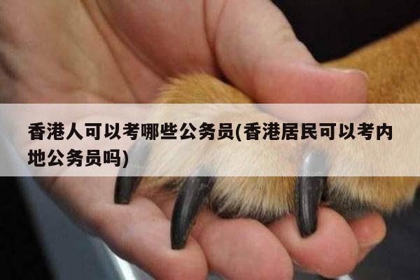 香港人可以考哪些公务员(香港居民可以考内地公务员吗)