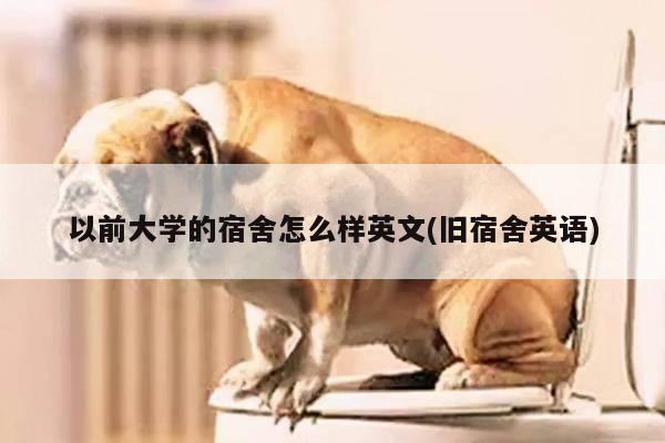 以前大学的宿舍怎么样英文(旧宿舍英语)