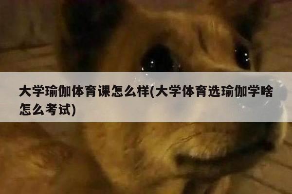 大学瑜伽体育课怎么样(大学体育选瑜伽学啥怎么考试)