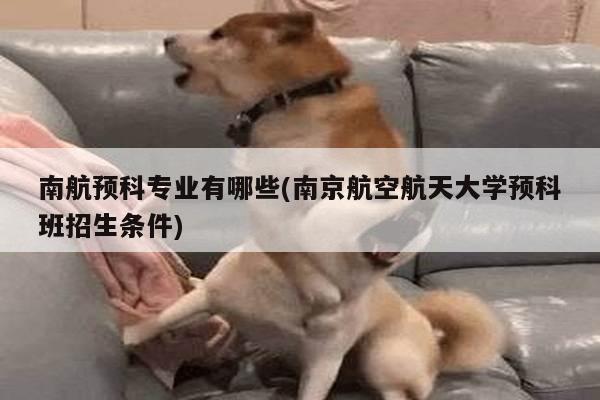 南航预科专业有哪些(南京航空航天大学预科班招生条件)