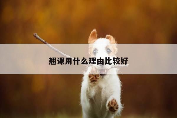 翘课用什么理由比较好
