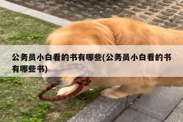 公务员小白看的书有哪些(公务员小白看的书有哪些书)