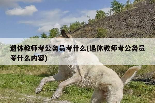 退休教师考公务员考什么(退休教师考公务员考什么内容)