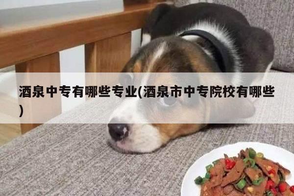 酒泉中专有哪些专业(酒泉市中专院校有哪些)