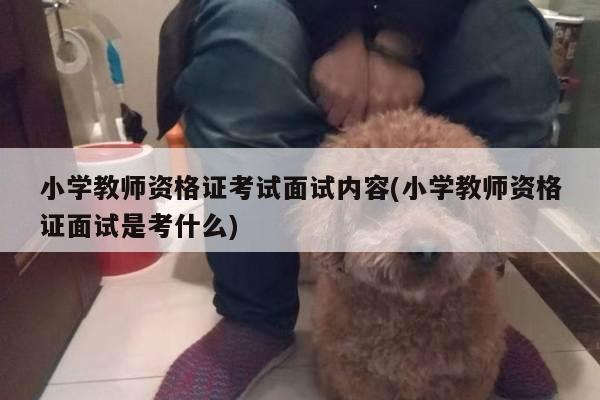 小学教师资格证考试面试内容(小学教师资格证面试是考什么)