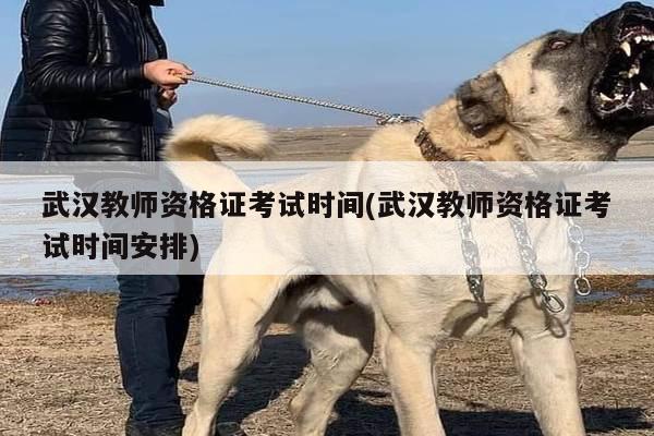 武汉教师资格证考试时间(武汉教师资格证考试时间安排)