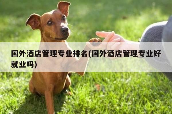 国外酒店管理专业排名(国外酒店管理专业好就业吗)