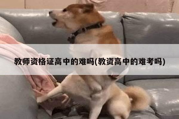 教师资格证高中的难吗(教资高中的难考吗)