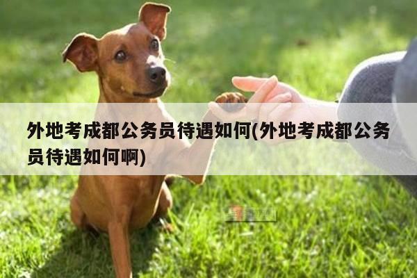 外地考成都公务员待遇如何(外地考成都公务员待遇如何啊)