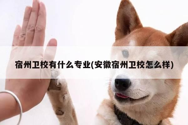 宿州卫校有什么专业(安徽宿州卫校怎么样)