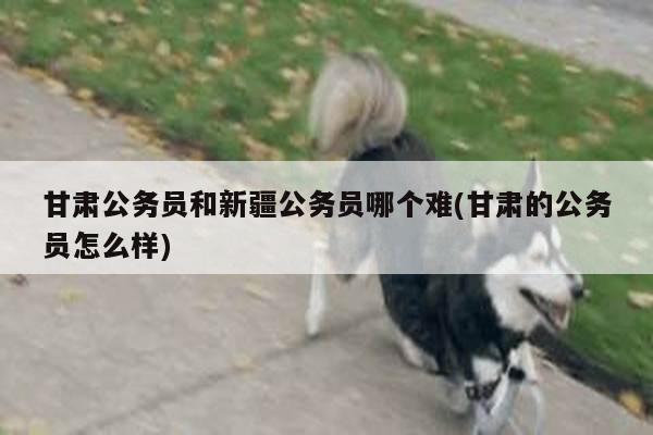 甘肃公务员和新疆公务员哪个难(甘肃的公务员怎么样)