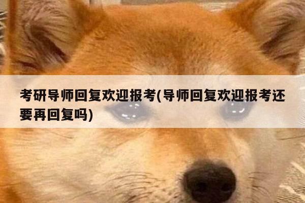 考研导师回复欢迎报考(导师回复欢迎报考还要再回复吗)