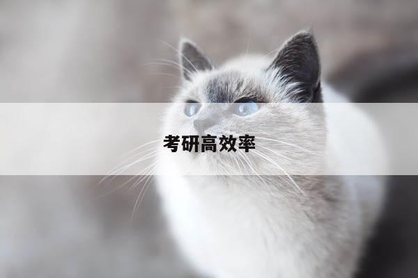 考研高效率