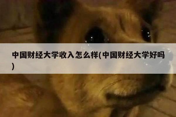 中国财经大学收入怎么样(中国财经大学好吗)