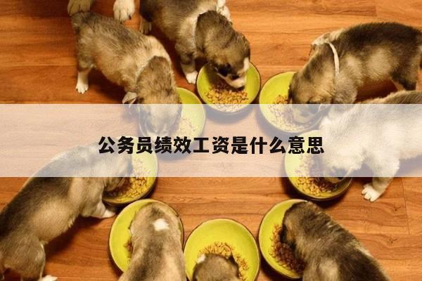 公务员绩效工资是什么意思