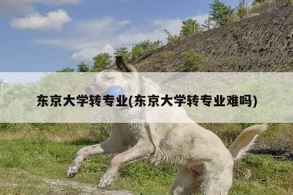 东京大学转专业(东京大学转专业难吗)