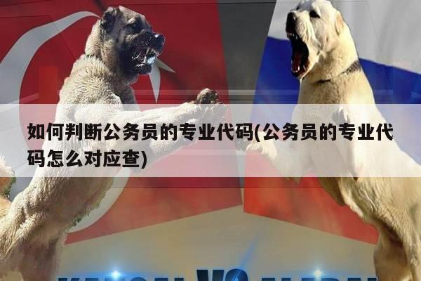 如何判断公务员的专业代码(公务员的专业代码怎么对应查)