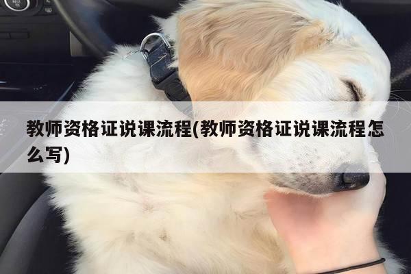 教师资格证说课流程(教师资格证说课流程怎么写)