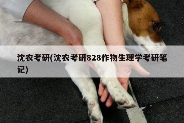 沈农考研(沈农考研828作物生理学考研笔记)