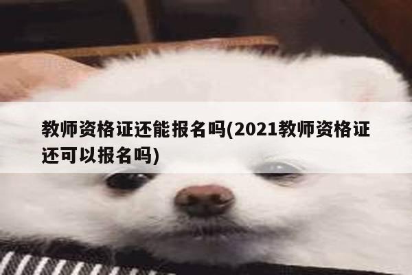 教师资格证还能报名吗(2021教师资格证还可以报名吗)