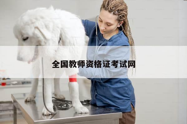 全国教师资格证考试网