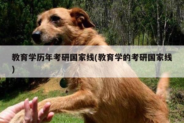 教育学历年考研国家线(教育学的考研国家线)