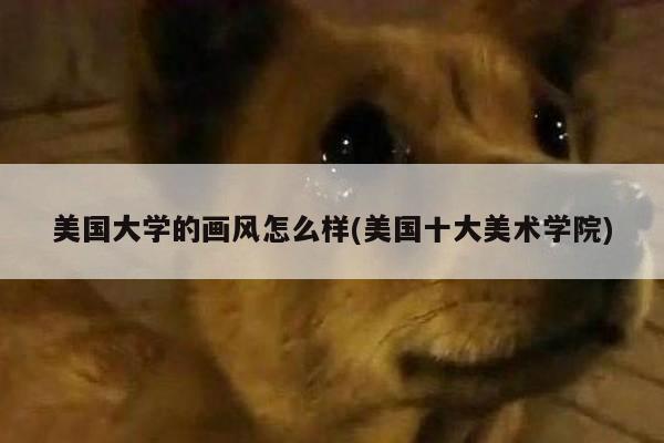 美国大学的画风怎么样(美国十大美术学院)