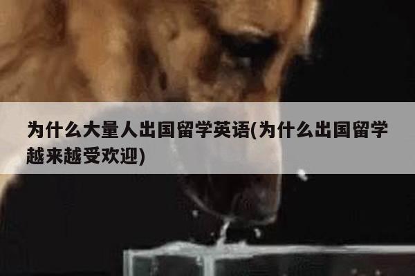 为什么大量人出国留学英语(为什么出国留学越来越受欢迎)