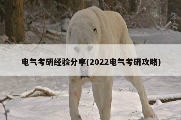 电气考研经验分享(2022电气考研攻略)