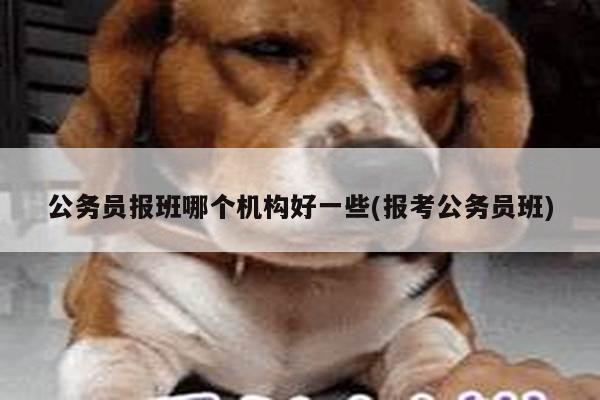 公务员报班哪个机构好一些(报考公务员班)