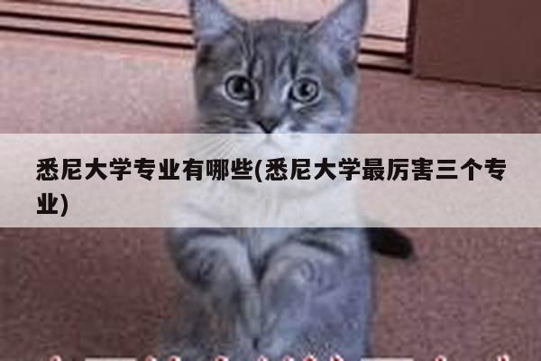 悉尼大学专业有哪些(悉尼大学最厉害三个专业)