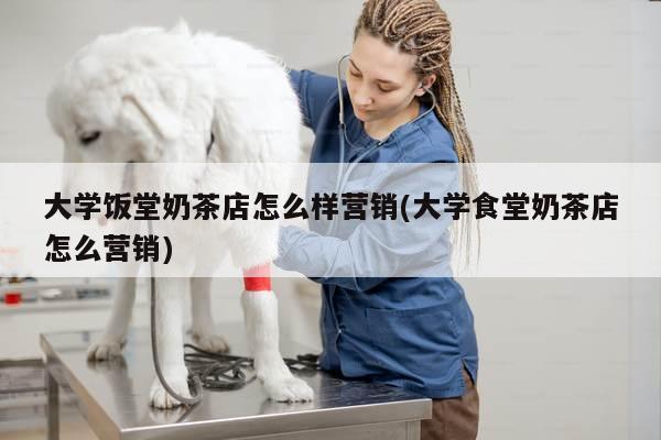 大学饭堂奶茶店怎么样营销(大学食堂奶茶店怎么营销)