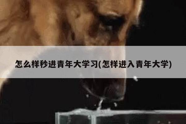怎么样秒进青年大学习(怎样进入青年大学)