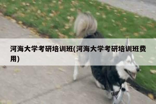 河海大学考研培训班(河海大学考研培训班费用)