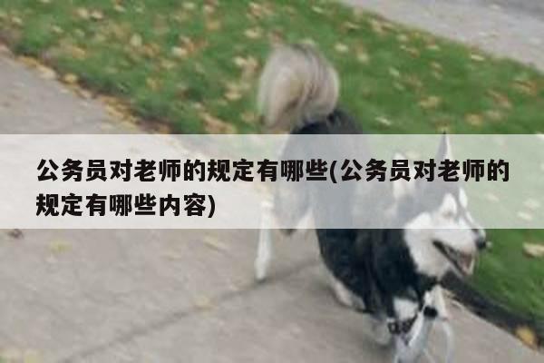 公务员对老师的规定有哪些(公务员对老师的规定有哪些内容)