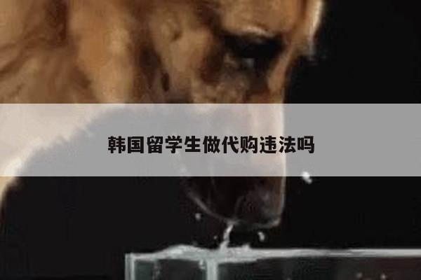 韩国留学生做代购违法吗