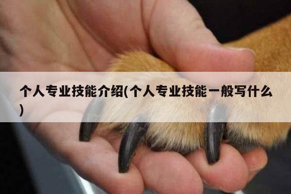 个人专业技能介绍(个人专业技能一般写什么)