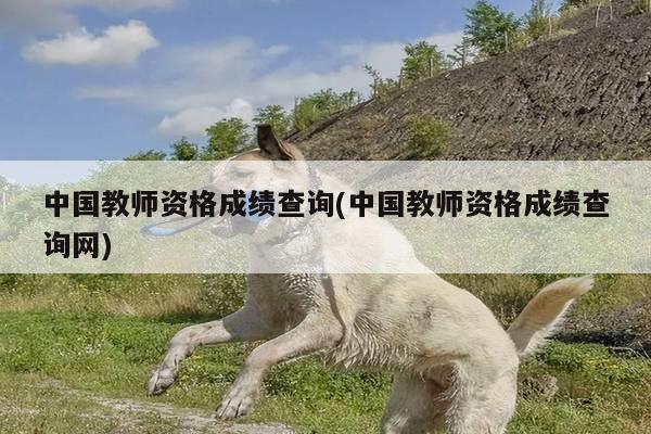 中国教师资格成绩查询(中国教师资格成绩查询网)
