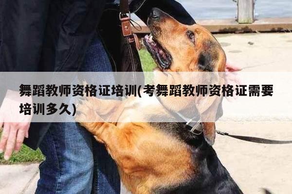 舞蹈教师资格证培训(考舞蹈教师资格证需要培训多久)