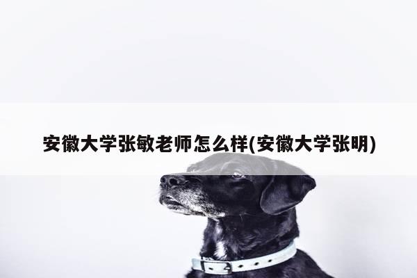 安徽大学张敏老师怎么样(安徽大学张明)