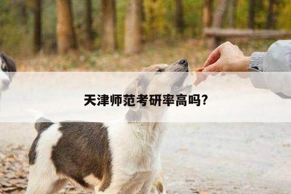 天津师范考研率高吗?