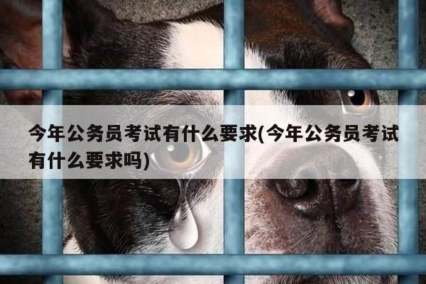 今年公务员考试有什么要求(今年公务员考试有什么要求吗)