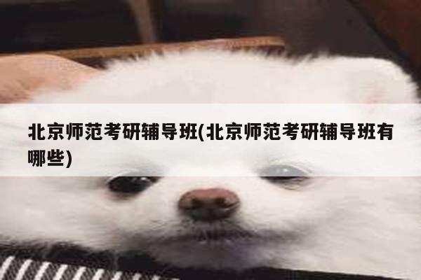 北京师范考研辅导班(北京师范考研辅导班有哪些)