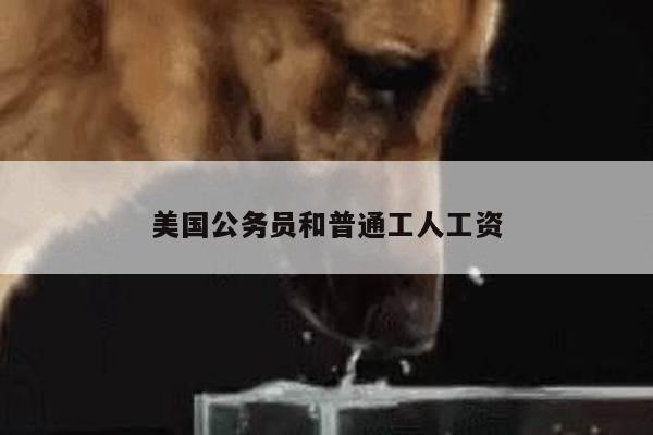 美国公务员和普通工人工资