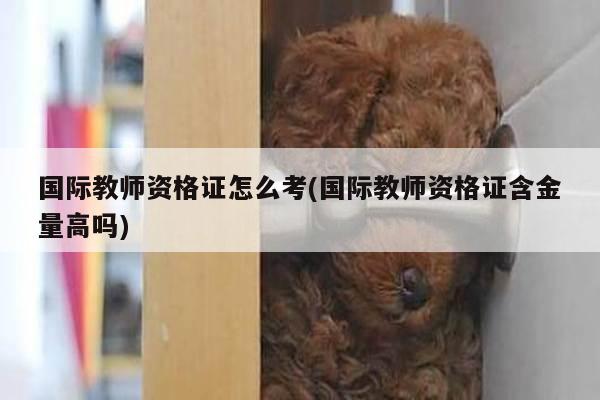 国际教师资格证怎么考(国际教师资格证含金量高吗)