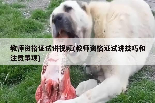 教师资格证试讲视频(教师资格证试讲技巧和注意事项)