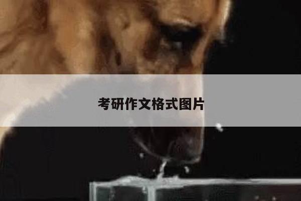 考研作文格式图片