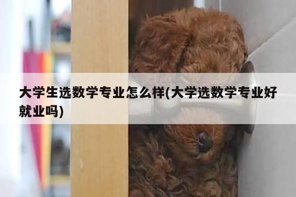 大学生选数学专业怎么样(大学选数学专业好就业吗)